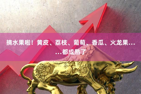 摘水果啦！黄皮、荔枝、葡萄、香瓜、火龙果……都成熟了