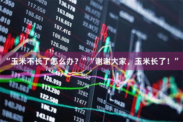 “玉米不长了怎么办？”“谢谢大家，玉米长了！”