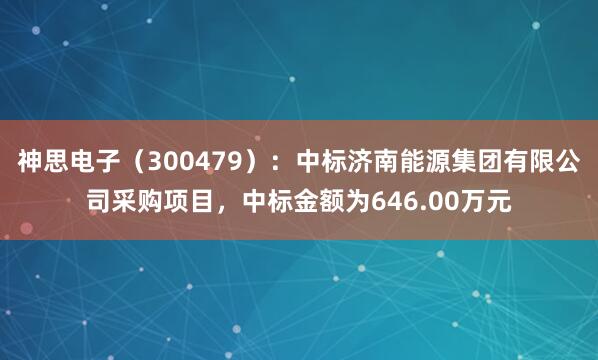 神思电子（300479）：中标济南能源集团有限公司采购项目，中标金额为646.00万元